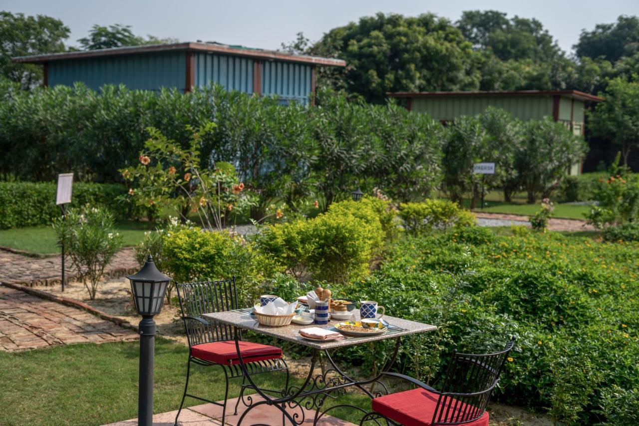 Tree Of Life Ecotainers Agra Agra (Uttar Pradesh) Exterior foto