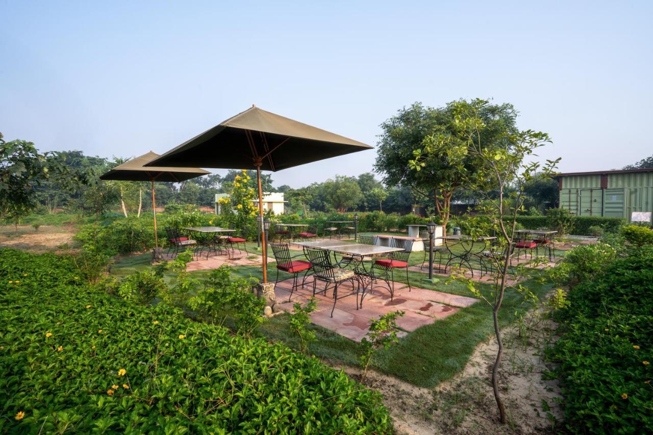 Tree Of Life Ecotainers Agra Agra (Uttar Pradesh) Exterior foto