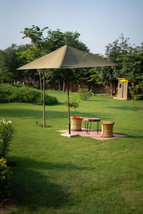 Tree Of Life Ecotainers Agra Agra (Uttar Pradesh) Exterior foto